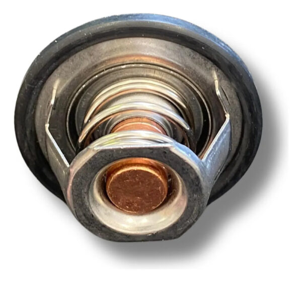 Termostato Renault Clio/laguna/megane/trafic 1.9d